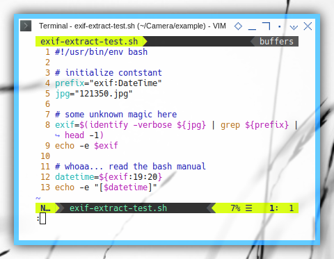 BASH Source in ViM: Extract EXIF from one image file