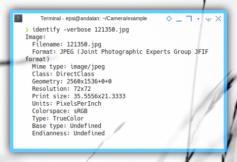 Imagemagick: identity -verbose