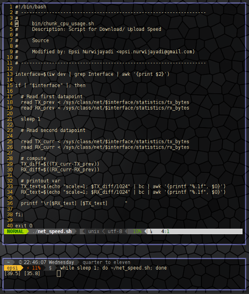 BASH Monitoring Script