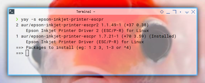 Printer: AUR: Epson ESC/P-R