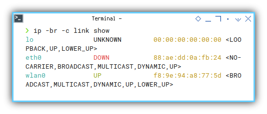 Interface: ip link brief