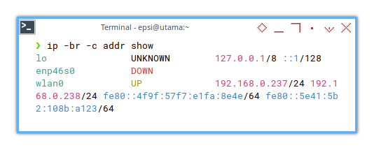 Interface: ip addr brief