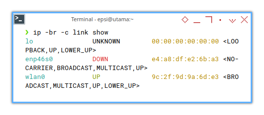 Interface: ip link brief