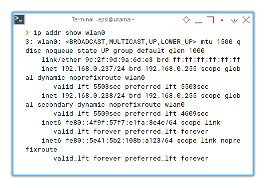 Interface: ip addr show