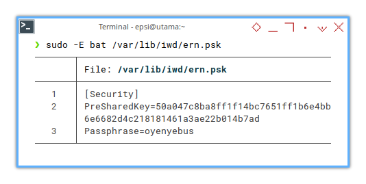 IWD: bat /var/lib/iwd/ern.psk