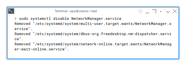 Network Manager: Disable