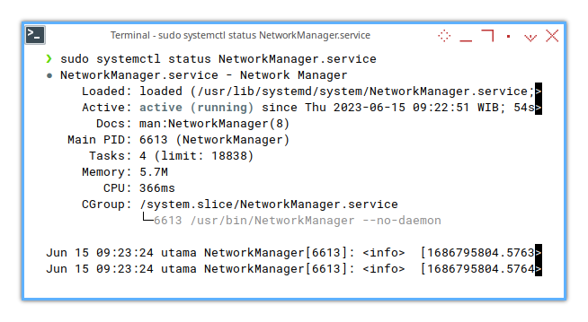 Network Manager: Status Inactive