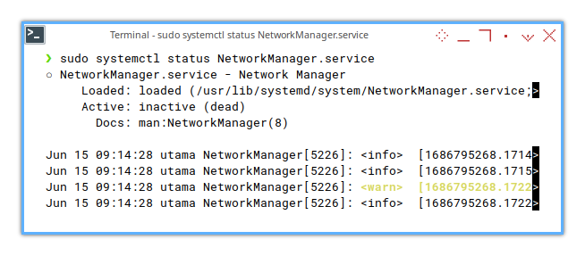 Network Manager: Status Inactive