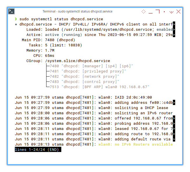 Network Manager: DHCPCD Status