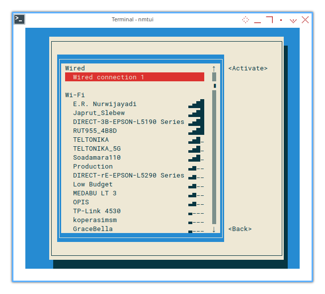 Network Manager: nmtui