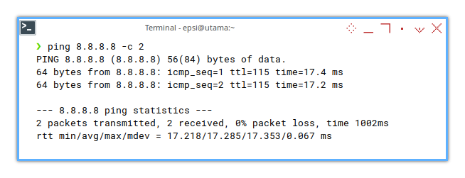 Network Manager: ping 8.8.8.8