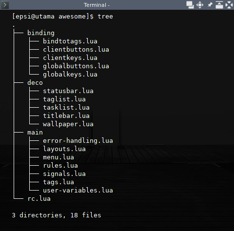 Awesome WM: Directory Structure