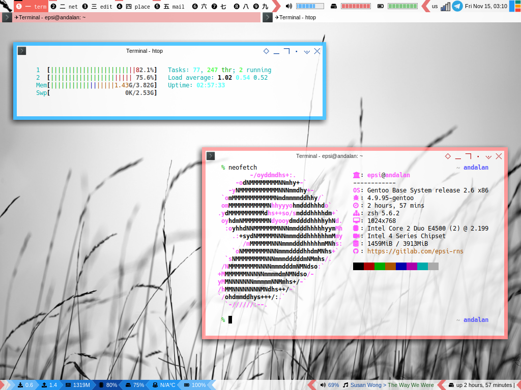 Awesome WM: Lain Statusbar in Gentoo (640x480)