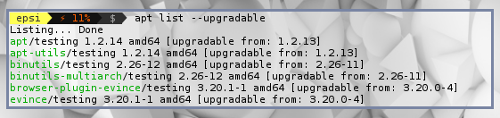 Upgradable Package List using apt
