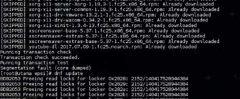 DNF segmentation fault