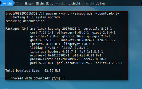 Docker pacman: download