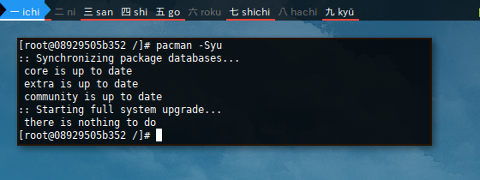 Docker pacman: -Syu