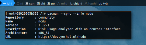 Docker pacman: Sync Info