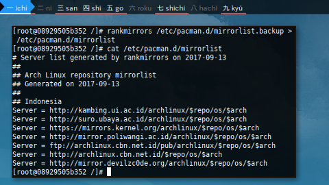 Docker Arch: rankmirrors