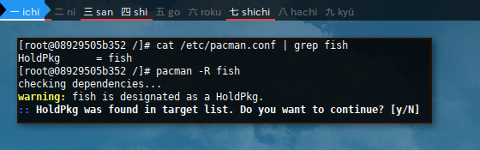 Docker pacman.conf: HoldPkg
