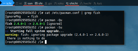 Docker pacman.conf: IgnoredPkg