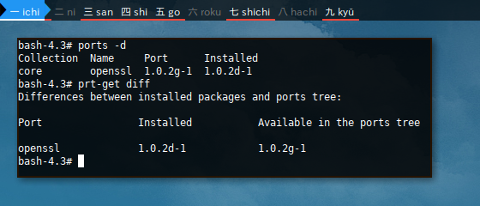 Docker Crux: Ports difference