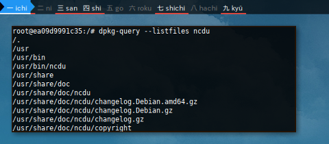 Docker DPKG: List Files