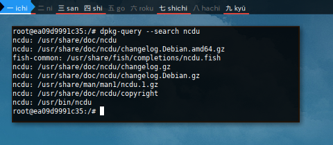 Docker DPKG: Search