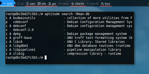 Docker Aptitude: Search ~R