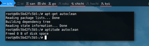 Docker APT: autoclean