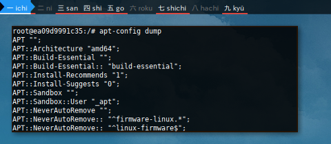 Docker APT: config dump