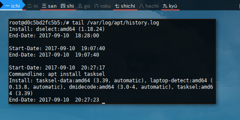 Docker: /var/log/apt/history.log