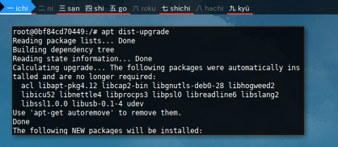 Docker APT: dist-upgrade