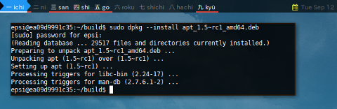 Docker APT-SRC: DPKG Install