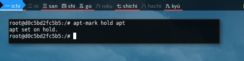 Docker APT: Mark Hold