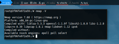 Docker APT Pinning: nmap Unstable