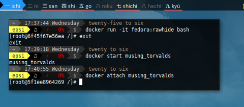 Docker Fedora: Getting Started