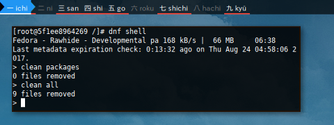 Docker Fedora: DNFShell