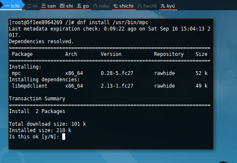 Docker DNF: Package Install Feature Executable