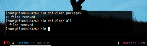 Docker DNF: Clean