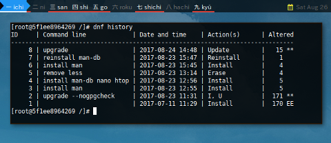 Docker DNF: History