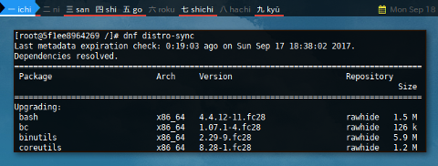 Docker DNF: Downgrade