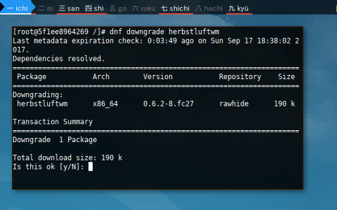 Docker DNF: Downgrade