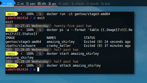 Examine Gentoo Portage in Docker: Getting Started