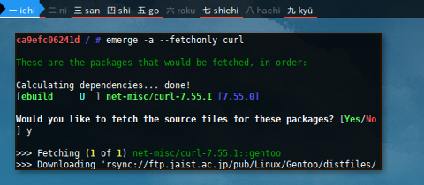 Docker Emerge: Fetch Only