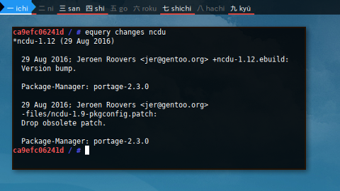 Docker Gentoo: equery changes