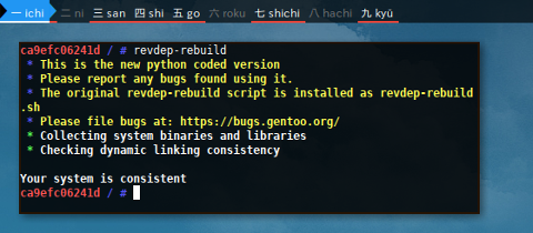 Docker Gentoo: revdep-rebuild