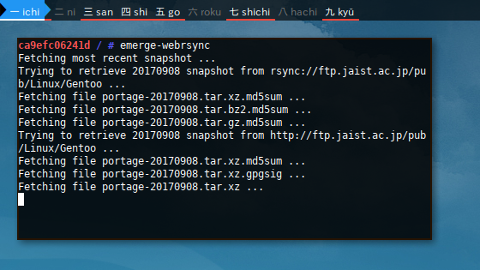 Docker Portage: jaist webrsync