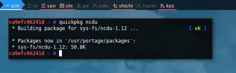 Docker Gentoo: quickpkg