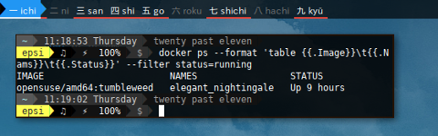 Docker openSUSE: List Running Containers